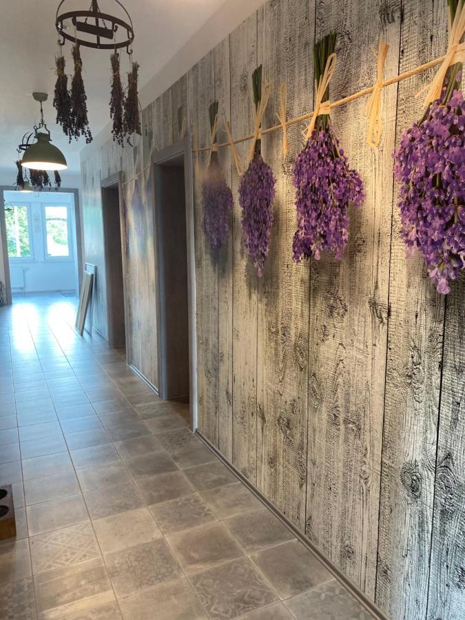 La Maison Pritzwalk - Bett & Bike Eksteriør bilde